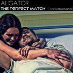 Обложка трека The Perfect Match