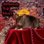 Обложка трека Joy To The World