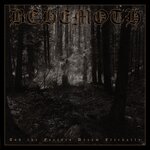 Обложка трека Transylvanian Forest