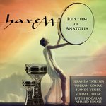 Обложка трека Raks-ı Şahane