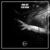 Fluid Room - Jordi Svit