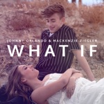 Обложка трека What If (I Told You I Like You)