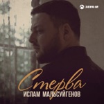 Обложка трека Стерва