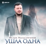 Обложка трека Ушла одна