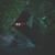 Shadows - Biotech Patagonia