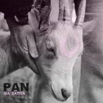 Обложка трека Pan
