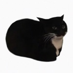 Обложка трека Maxwell the Cat Theme