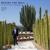 Nicolo Paganini Caprice No. 17 in E flat Major., Op. 1, ECM-01 "Caprice 17 Paganini" - Alfredo Reyes Logounova