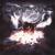 Tyr - Brothers of Metal
