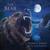 Chapter VI: Demise - Shawn James & the Shapeshifters