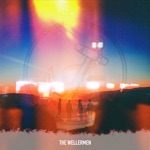 Обложка трека Hoist The Colours (feat. Davide Dalmonte, Eric Hollaway, Danny Brevik & Ebucs)