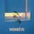 Vine - Nastra x Needow