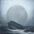 Forever In Your Eyes - Nikita Mirnyy