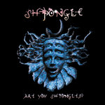 Обложка трека Shpongle Falls