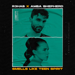 Обложка трека Smells Like Teen Spirit