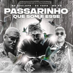 Обложка трека Passarinho Que Som É Esse