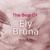 Christmas Snow - Ely Bruna