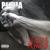 A New Level - Pantera