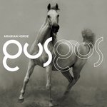 Обложка трека Arabian horse