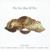 Animal Instinct - Commodores