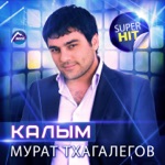 Обложка трека За тебя Калым отдам (speed up)