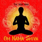 Обложка трека Sarvangasana