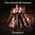 Fireplace - The Sound of Nature