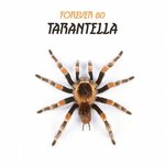 Обложка трека Tarantella