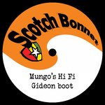 Обложка трека Belly Skank Riddim