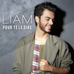 Обложка трека Pour te le dire