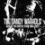 Scientist - The Dandy Warhols