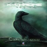 Обложка трека Carrion Crow