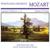 Concerto in G Major for Flute and Orchestra No. 1, K. 313/285c: III. Rondo. Tempo di Menuetto - Arife Gülsen Tatu