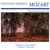 Requiem in D Minor, K. 626: III. Sequenz - Confutatis - Budapest Concert Orchestra