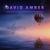 Passion - David Amber