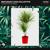 Always On My Mind - Mike Mago