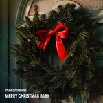 Обложка трека Merry Christmas Baby