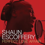 Обложка трека Perfect Love Affair