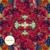 Permission to Love - Hayden James
