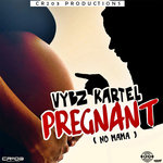 Обложка трека Pregnant (No Mama)