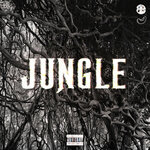 Обложка трека JUNGLE