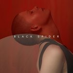 Обложка трека Black Spider