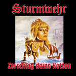 Обложка трека Stolze Krieger (Söhne Wotans)