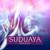 Reach the Stars - Suduaya