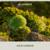My Coloring Book - Julie London