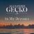 Height - Alexander Gecko
