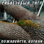 Обложка трека Спой мне про смерть