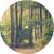 Lost Forest - DJ Hanns