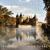 Sinfonie in B-Flat Major, Op. 5: IV. Finale. Allegro - Nina Gurol