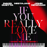 Обложка трека If You Really Love Me (How Will I Know)